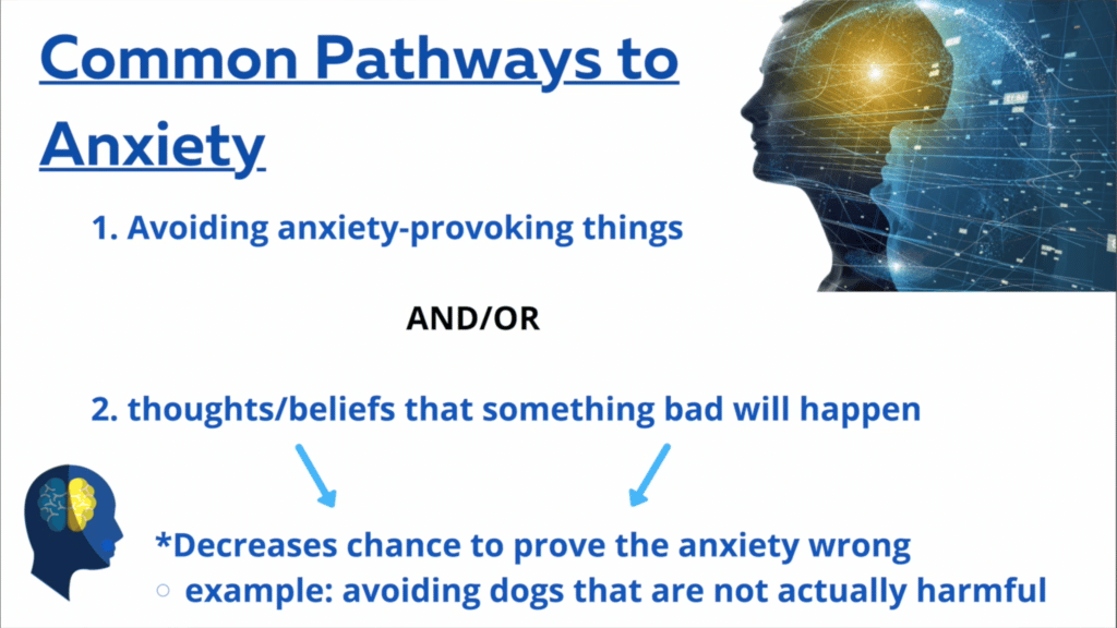 What causes anxiety