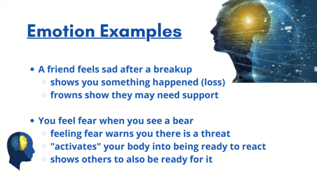 Examples of emotions